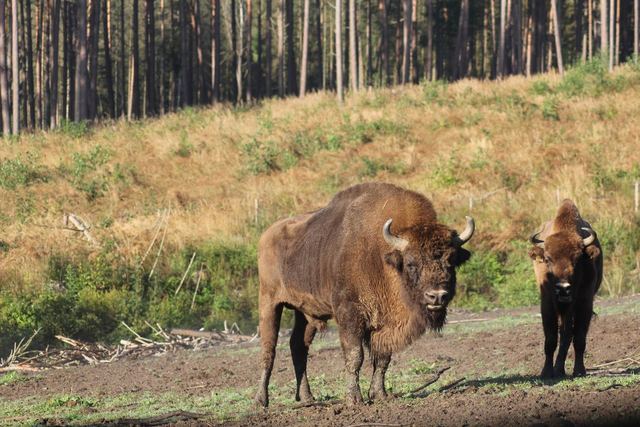 Pozcekaj a Usajana v ZOO Tábor
